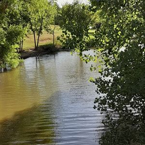 Hello I'm Tammy ⚘ Welcome to my Closet